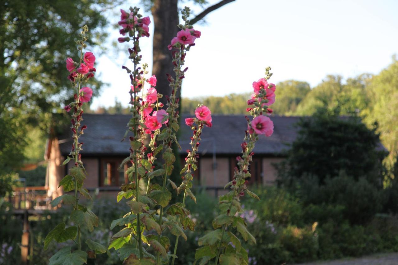 Chalet Forsthof Everstorf Grevesmuehlen Exteriör bild