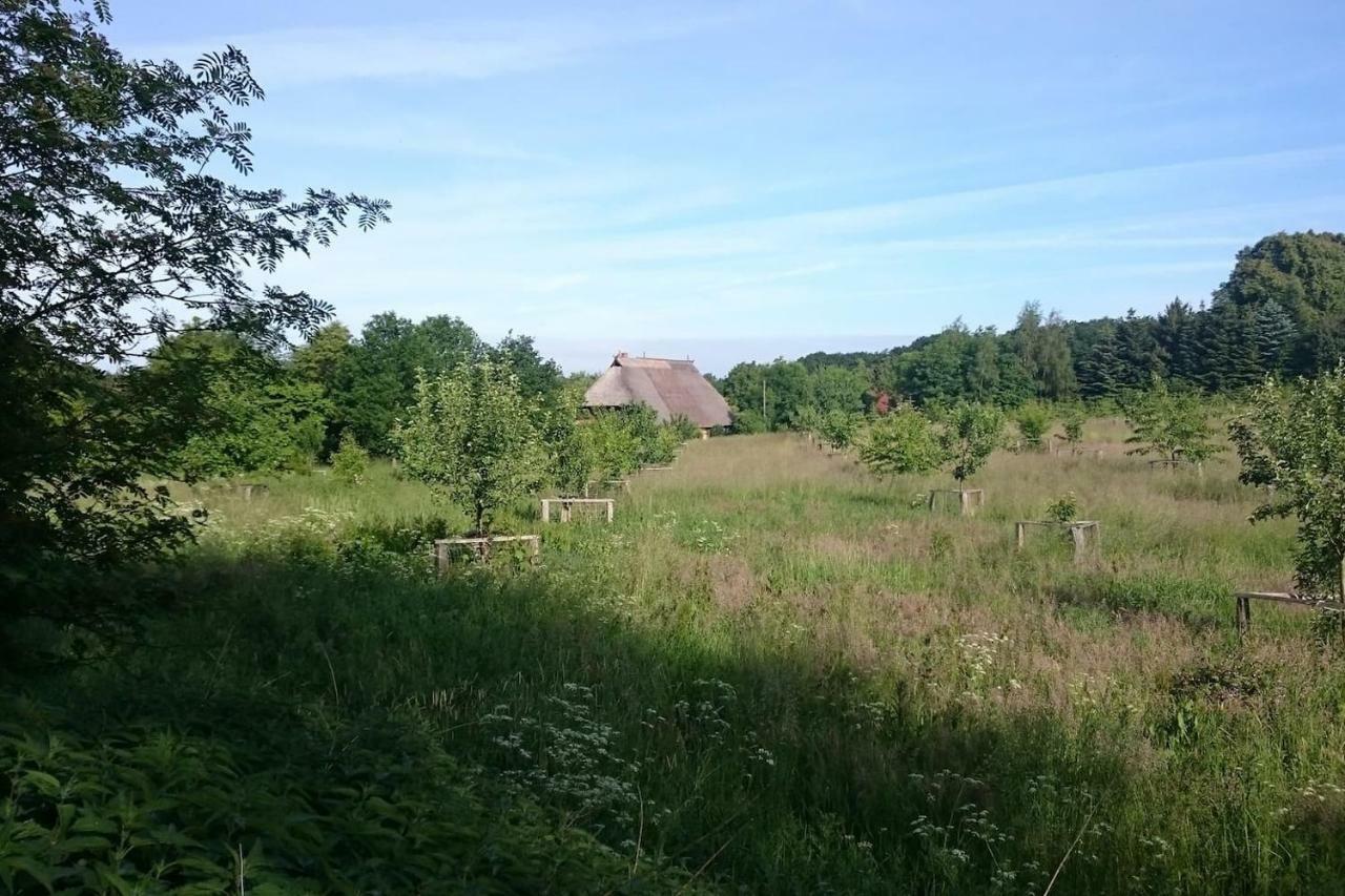 Chalet Forsthof Everstorf Grevesmuehlen Exteriör bild